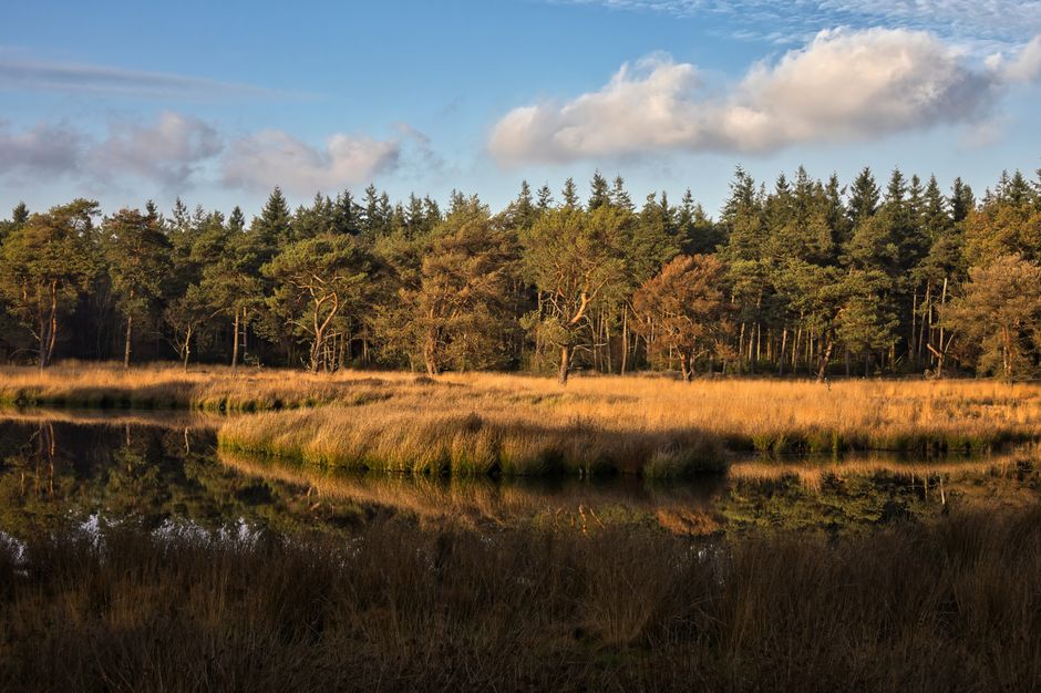 Campings in Bladel