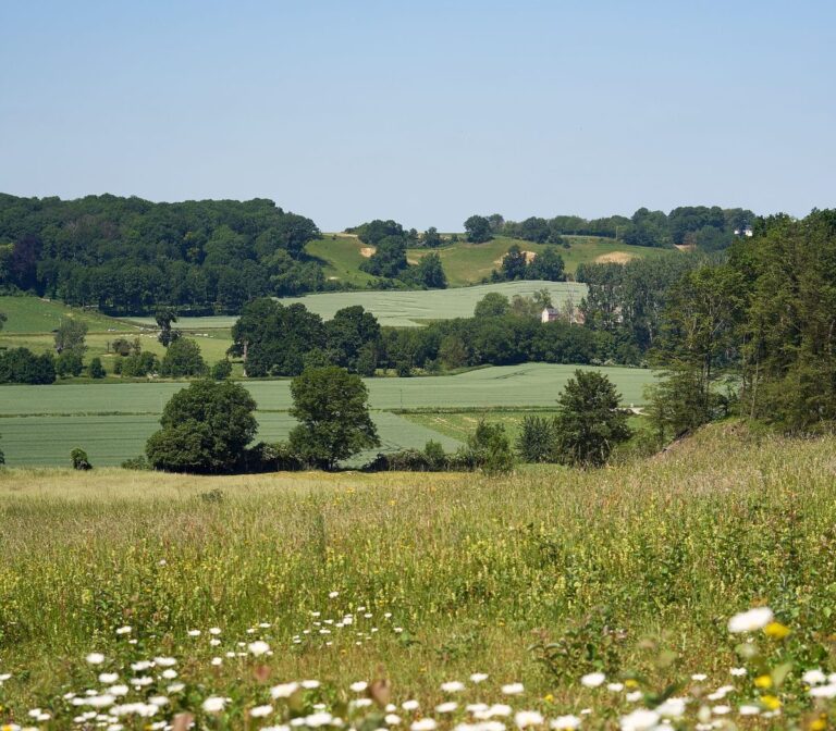 Limburg